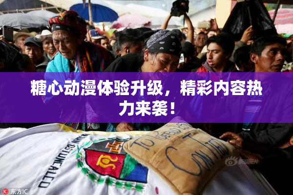 糖心动漫体验升级，精彩内容热力来袭！