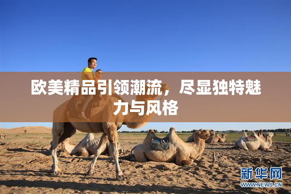 欧美精品引领潮流，尽显独特魅力与风格