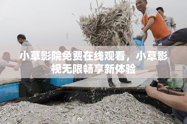 小草影院免费在线观看，小草影视无限畅享新体验