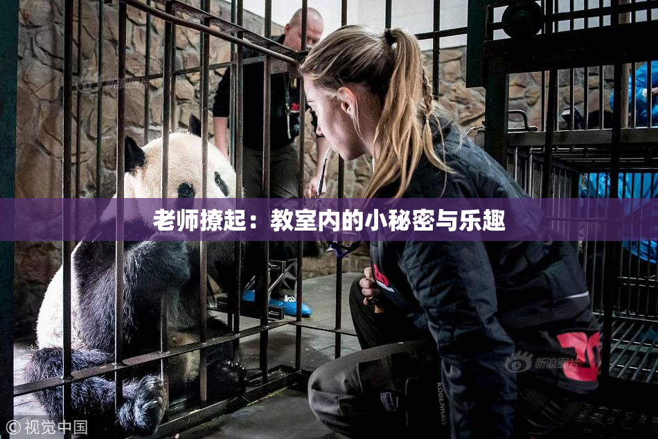 老师撩起：教室内的小秘密与乐趣