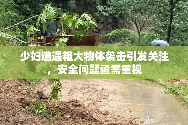 少妇遭遇粗大物体袭击引发关注，安全问题亟需重视