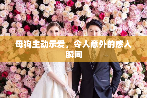 母狗主动示爱，令人意外的感人瞬间