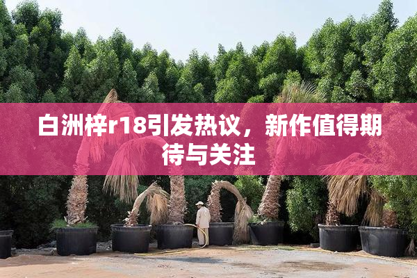 白洲梓r18引发热议，新作值得期待与关注