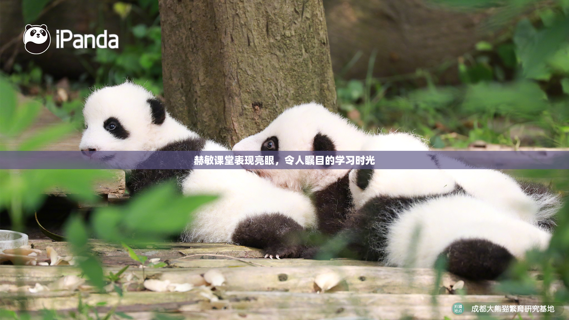 赫敏课堂表现亮眼，令人瞩目的学习时光
