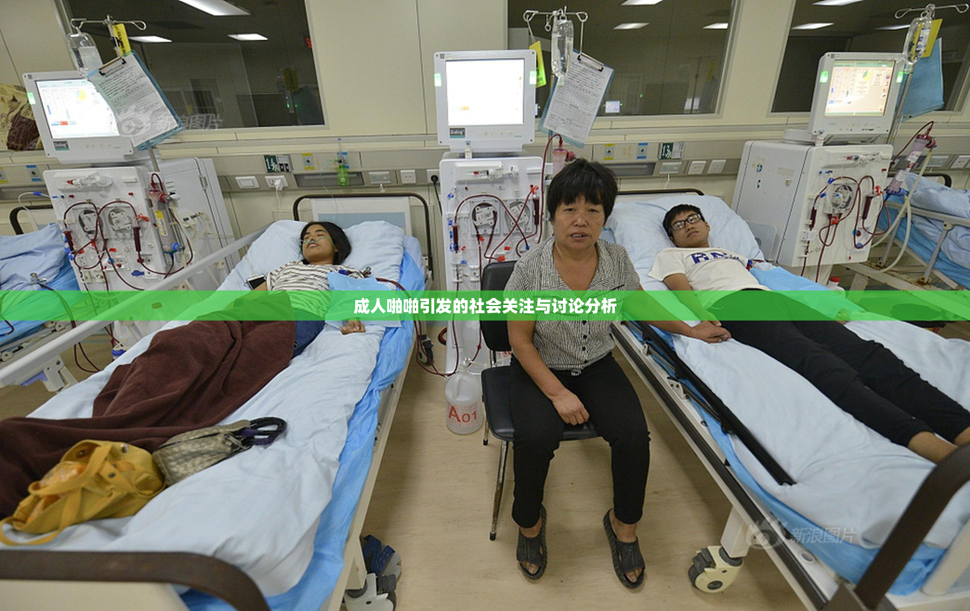 成人啪啪引发的社会关注与讨论分析