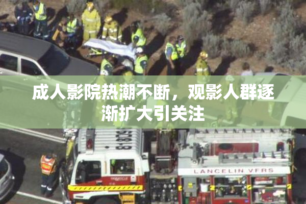 成人影院热潮不断，观影人群逐渐扩大引关注