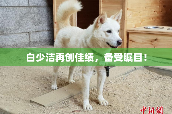 白少洁再创佳绩，备受瞩目！