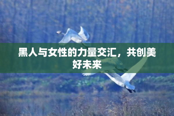 黑人与女性的力量交汇，共创美好未来