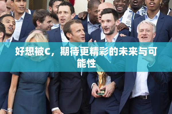 好想被C，期待更精彩的未来与可能性