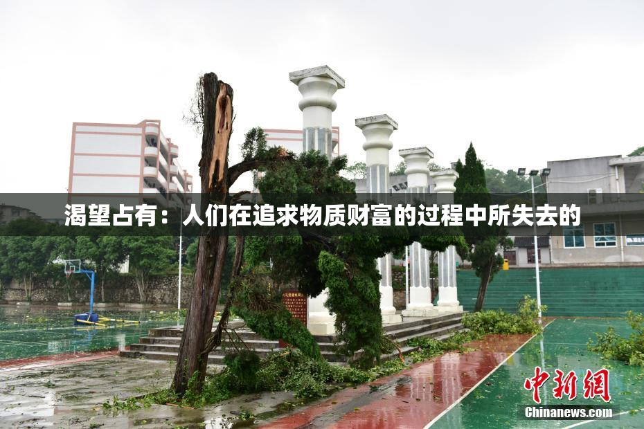 渴望占有：人们在追求物质财富的过程中所失去的