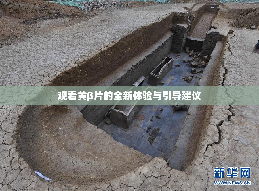 观看黄β片的全新体验与引导建议