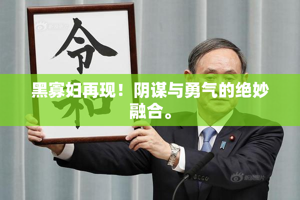 黑寡妇再现！阴谋与勇气的绝妙融合。