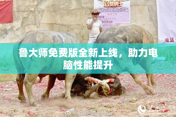 鲁大师免费版全新上线，助力电脑性能提升