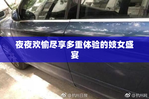 夜夜欢愉尽享多重体验的妓女盛宴