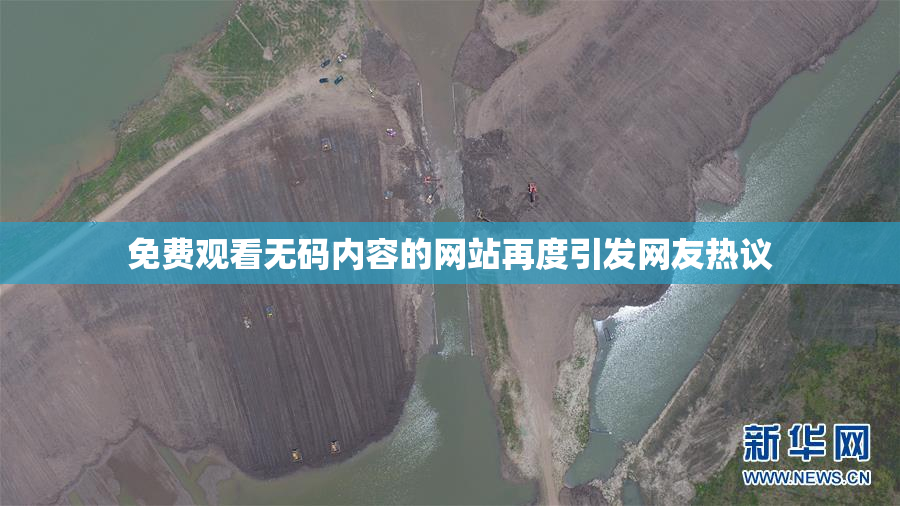 免费观看无码内容的网站再度引发网友热议