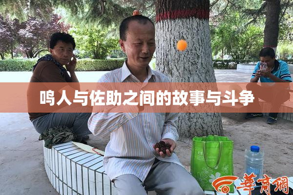 鸣人与佐助之间的故事与斗争