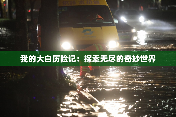 我的大白历险记：探索无尽的奇妙世界