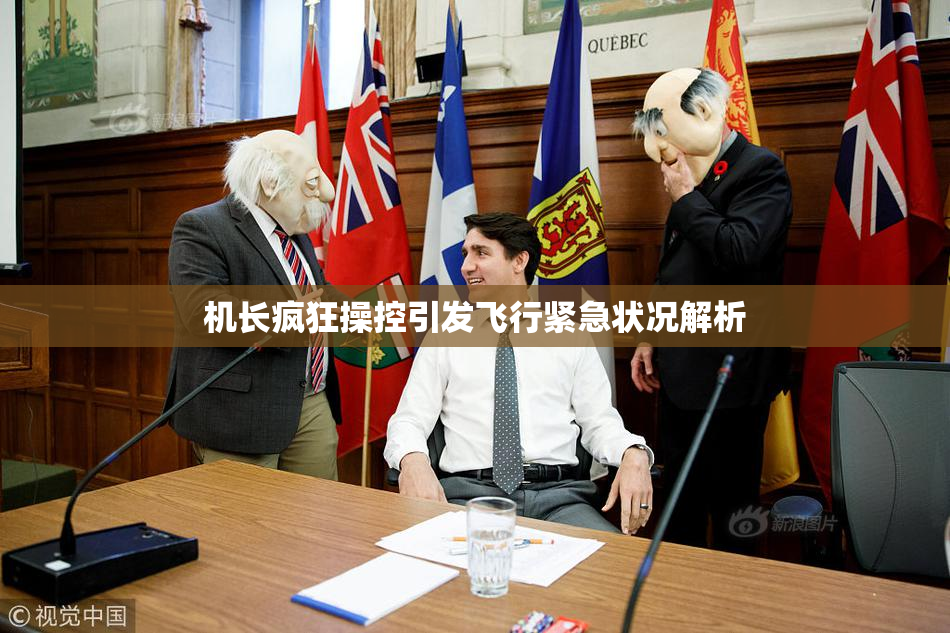 机长疯狂操控引发飞行紧急状况解析