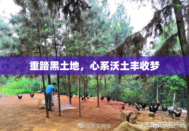 重踏黑土地，心系沃土丰收梦