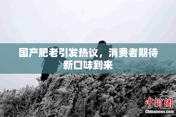国产肥老引发热议，消费者期待新口味到来