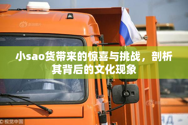 小sao货带来的惊喜与挑战，剖析其背后的文化现象