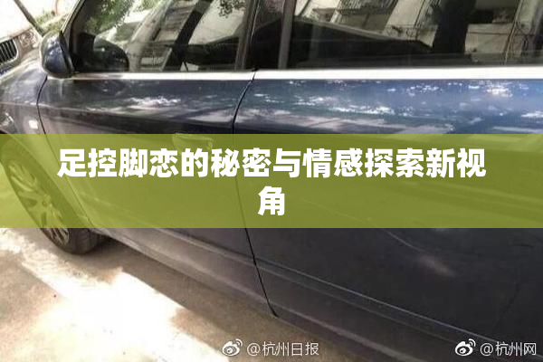 足控脚恋的秘密与情感探索新视角
