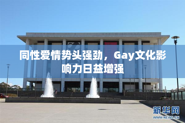 同性爱情势头强劲，Gay文化影响力日益增强
