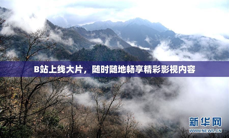 B站上线大片，随时随地畅享精彩影视内容