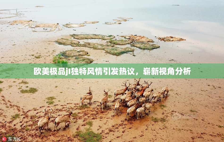 欧美极品jI独特风情引发热议，崭新视角分析
