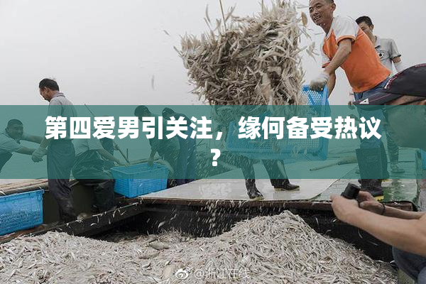 第四爱男引关注，缘何备受热议？
