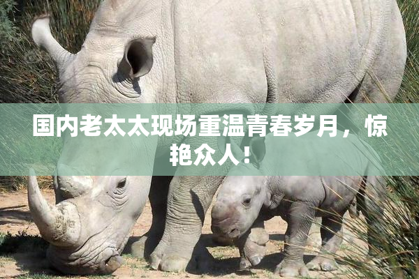 国内老太太现场重温青春岁月，惊艳众人！