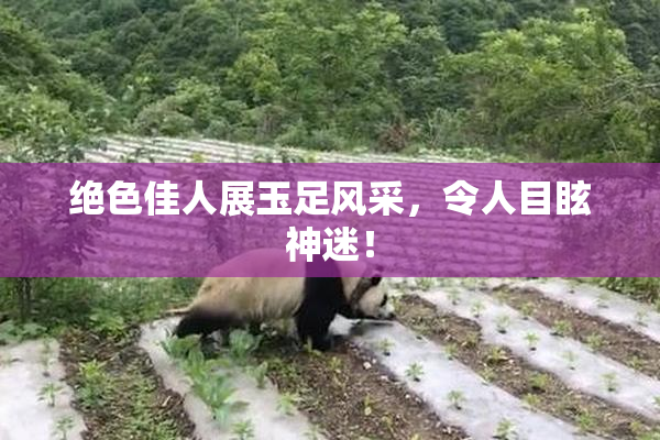 绝色佳人展玉足风采，令人目眩神迷！