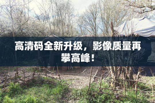 高清码全新升级，影像质量再攀高峰！