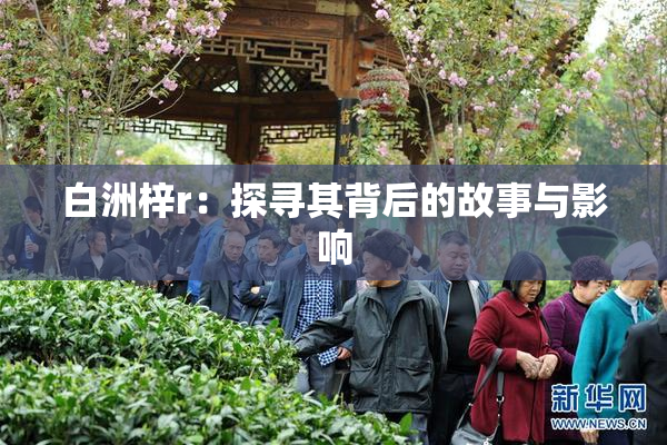 白洲梓r：探寻其背后的故事与影响