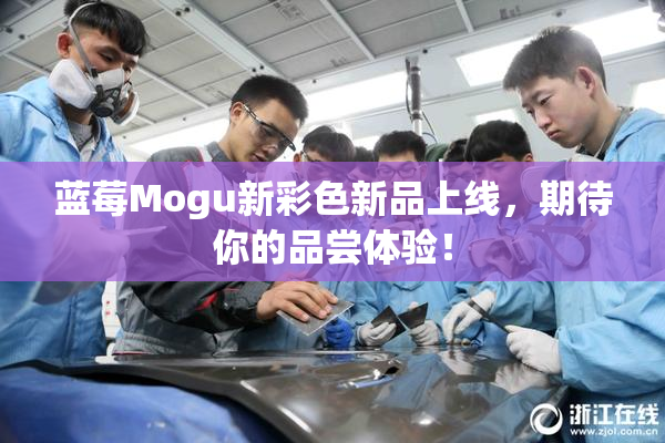 蓝莓Mogu新彩色新品上线，期待你的品尝体验！