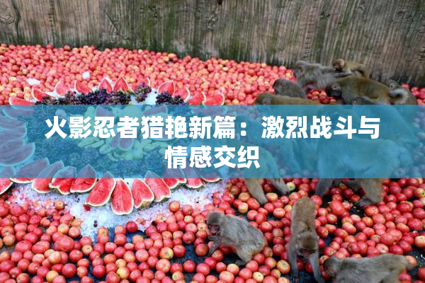 火影忍者猎艳新篇：激烈战斗与情感交织