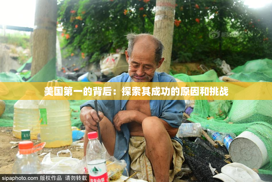 美国第一的背后：探索其成功的原因和挑战