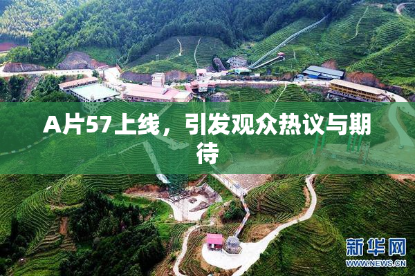 A片57上线，引发观众热议与期待