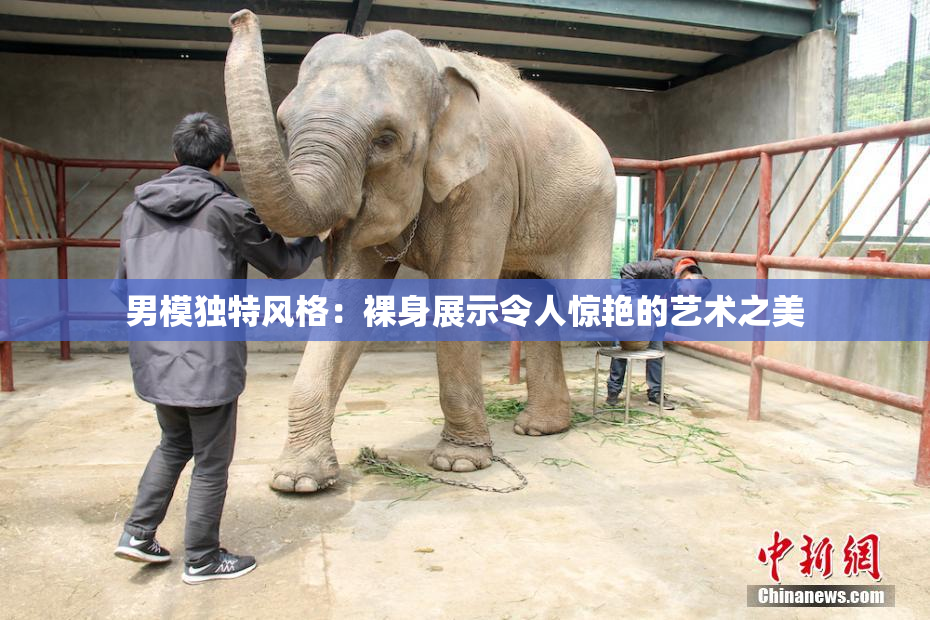 男模独特风格：裸身展示令人惊艳的艺术之美