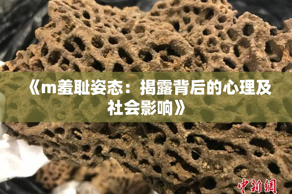 《m羞耻姿态：揭露背后的心理及社会影响》