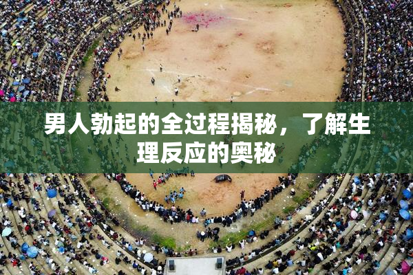男人勃起的全过程揭秘，了解生理反应的奥秘