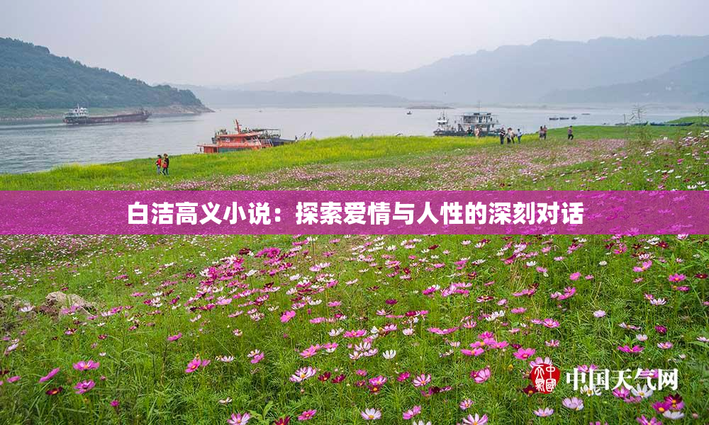 白洁高义小说：探索爱情与人性的深刻对话
