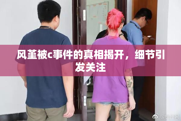 风堇被c事件的真相揭开，细节引发关注
