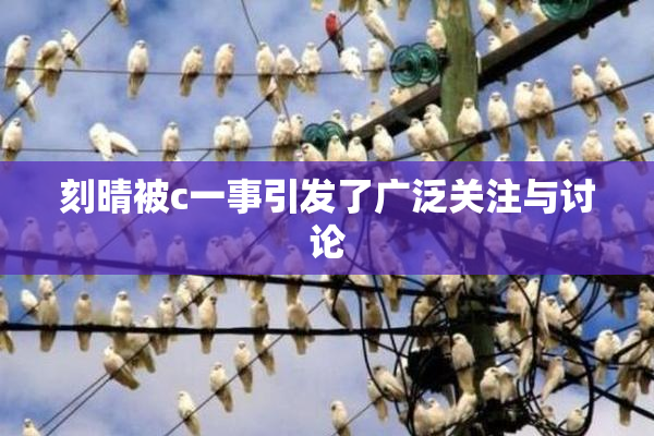 刻晴被c一事引发了广泛关注与讨论