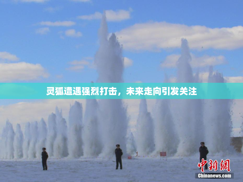 灵狐遭遇强烈打击，未来走向引发关注