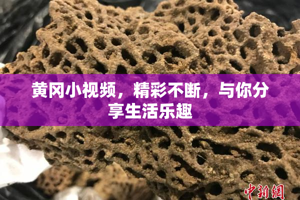 黄冈小视频，精彩不断，与你分享生活乐趣