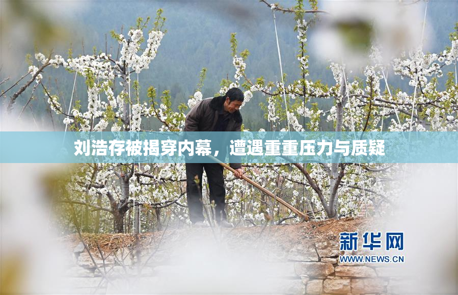 刘浩存被揭穿内幕，遭遇重重压力与质疑