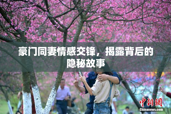 豪门同妻情感交锋，揭露背后的隐秘故事