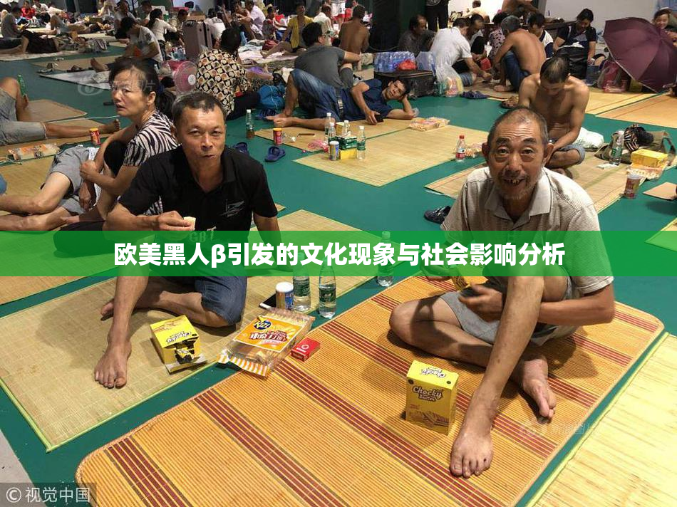 欧美黑人β引发的文化现象与社会影响分析