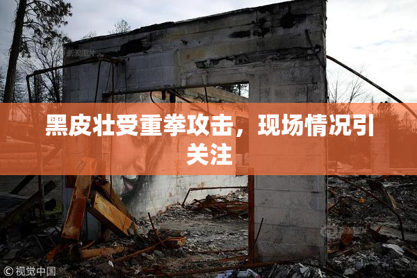 黑皮壮受重拳攻击，现场情况引关注